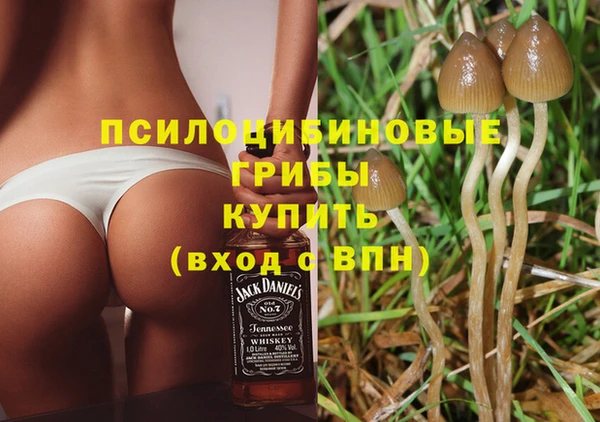 сатива Алексин